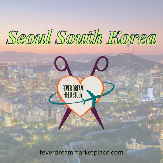 Salon Team Trip - Fever Dream Field Study: Seoul, South Korea - Main Image